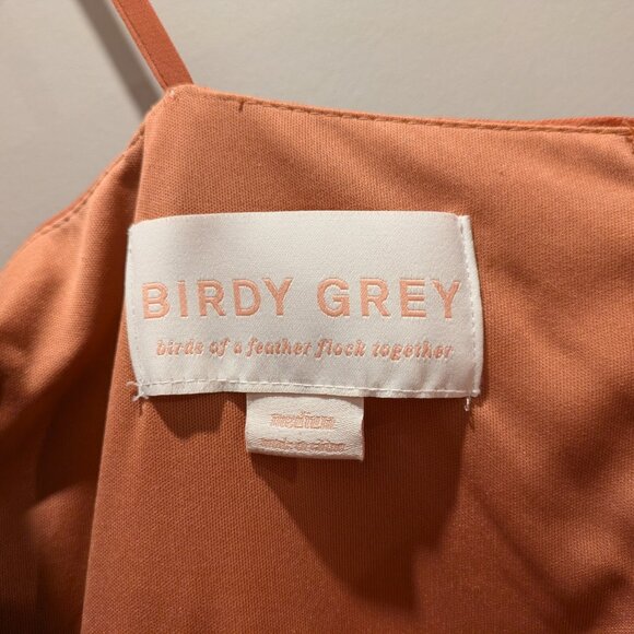 Birdy Grey Gwennie Terracotta Bridesmaid Dress - Picture 4 of 4